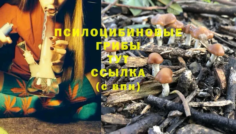 Псилоцибиновые грибы Cubensis  гидра tor  Боготол  дарк нет состав  хочу  